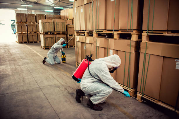 Best Rat Extermination Near Me  in North Las Vegas, NV