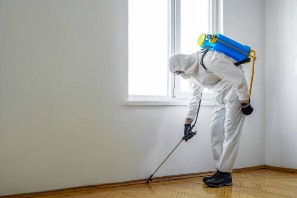 Best Flea Control Services  in North Las Vegas, NV