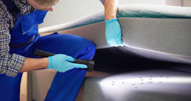 Best Local Pest Control Services  in North Las Vegas, NV