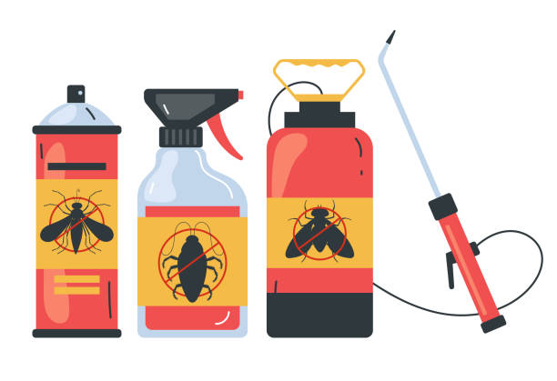 Best Termite Control Services  in North Las Vegas, NV