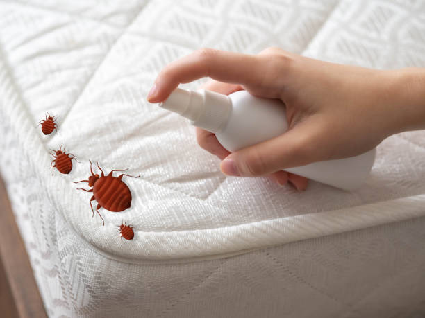 Best Wasp Removal Services  in North Las Vegas, NV
