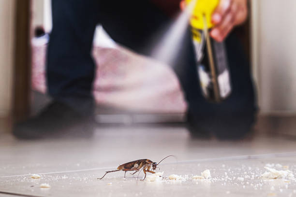 Best Pest Prevention Services  in North Las Vegas, NV