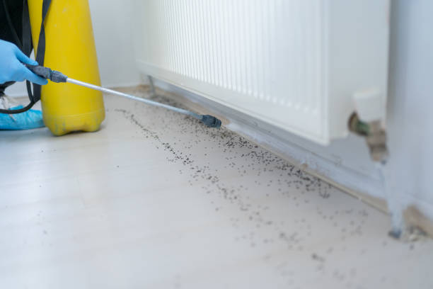 Best Exterminator Services  in North Las Vegas, NV