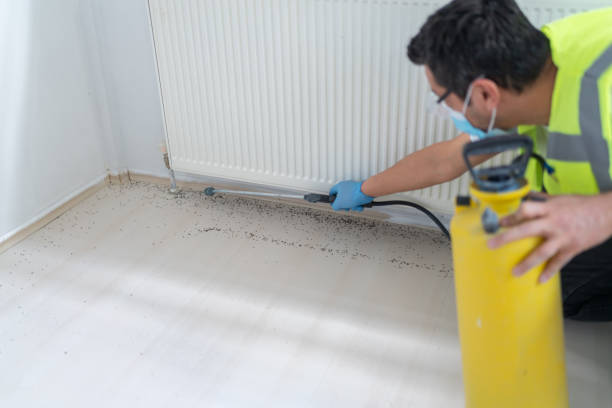 Professional Pest Control in North Las Vegas, NV