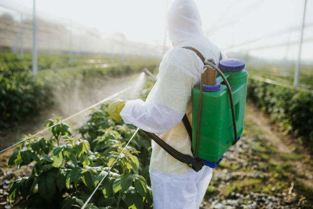 Best Pest Control Near Me  in North Las Vegas, NV